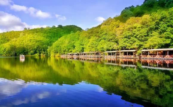 جوله شيلا وافا