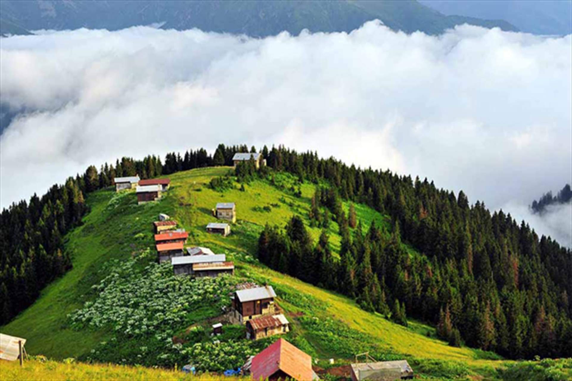 مرتفعات ايدر